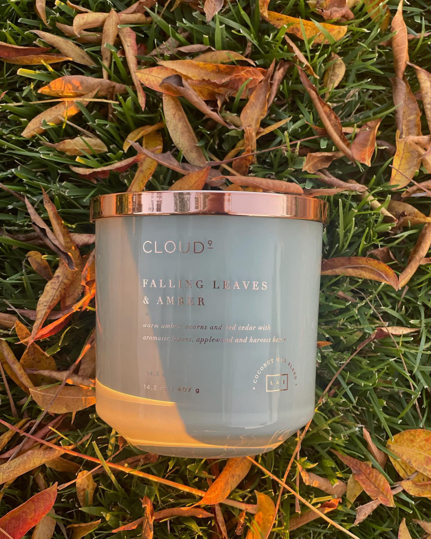 LAB Candles - Fall is in the air